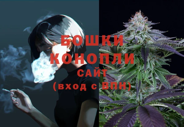 мяу мяу мука Няндома